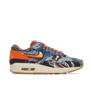 Nike Air Max 1 SP Concepts Heavy DN1803-900 - Arviolet photo 1