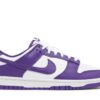 Nike Dunk Low Championship Court Purple DD1391-104 - Arviolet photo 1