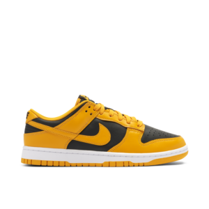 Nike Dunk Low Championship Goldenrod (2021) DD1391-004 - Arviolet photo 1