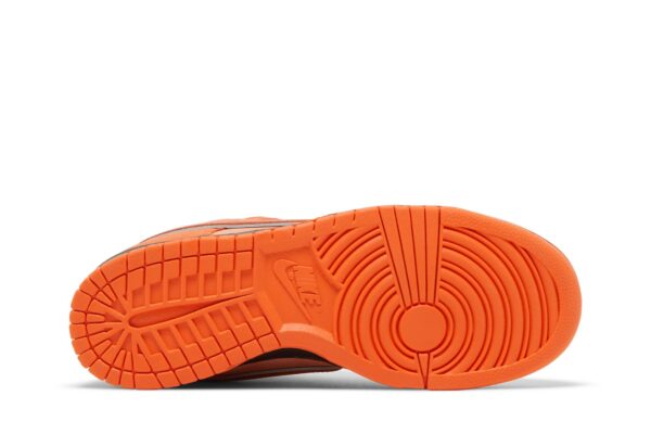 Nike SB Dunk Low Concepts Orange Lobster FD8776-800 - Arviolet photo 4