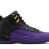 Jordan 12 Retro Field Purple CT8013-057 - Arviolet photo 1