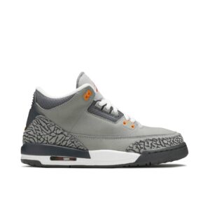 Jordan 3 Retro Cool Grey (2021) (GS) 398614-012 - Arviolet photo 1