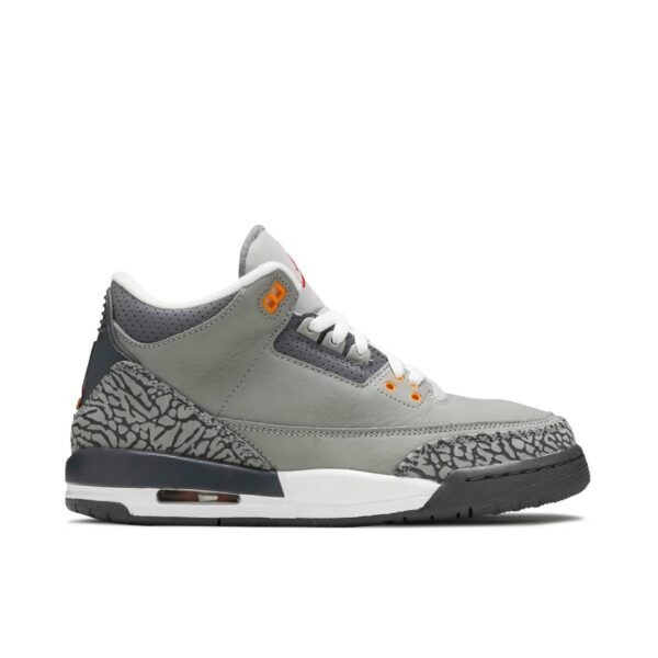 Jordan 3 Retro Cool Grey (2021) (GS) 398614-012 - Arviolet photo 1