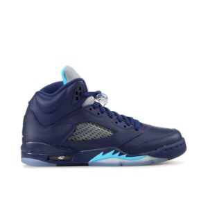 Jordan 5 Retro Pre-Grape (GS) 440888-405 - Arviolet photo 1