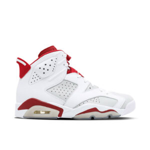 Jordan 6 Retro Alternate Hare 384664-113 - Arviolet photo 1