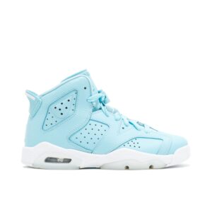Jordan 6 Retro Pantone (GS) 543390-407 - Arviolet photo 1