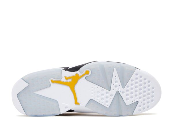 Jordan 6 Retro Yellow Ochre CT8529-170 - Arviolet photo 5