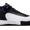 Jordan Jumpman Pro Black Field Purple DN3686-105 - Arviolet photo 1