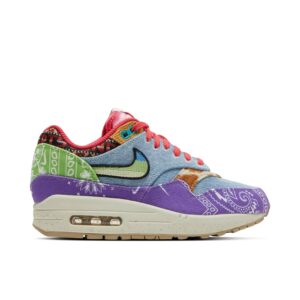 Nike Air Max 1 SP Concepts Far Out (Special Box) DN1803-500 - Arviolet photo 1