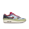 Nike Air Max 1 SP Concepts Mellow DN1803-300 - Arviolet photo 1