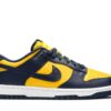 Nike Dunk Low Michigan (2021) DD1391-700 - Arviolet photo 1