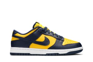 Nike Dunk Low Michigan (2021) DD1391-700 - Arviolet photo 1