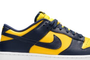 Nike Dunk Low Michigan (2021) DD1391-700 - Arviolet photo 2