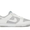 Nike Dunk Low Retro White Grey DJ6188-003 - Arviolet photo 1