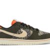 Nike Dunk Low SE Gone Fishing Rainbow Trout FN7523-300 - Arviolet photo 1