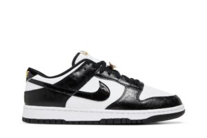 Nike Dunk Low SE World Champs Black White DR9511-100 - Arviolet photo 1