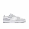 Nike Dunk Low Two Tone Grey DJ6188-001 - Arviolet photo 1