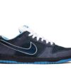 Nike SB Dunk Low Concepts Blue Lobster 313170-342 - Arviolet photo 1