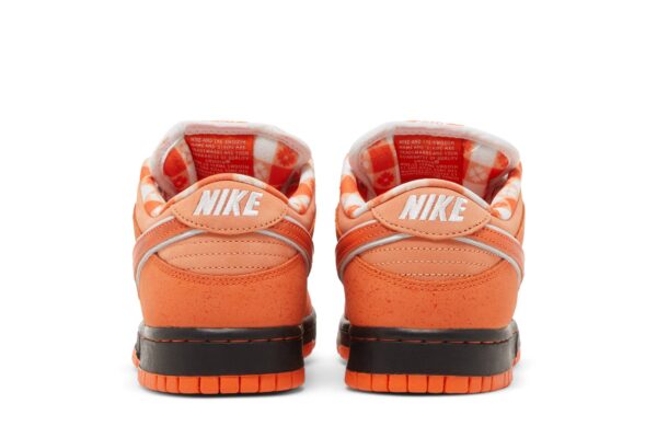 Nike SB Dunk Low Concepts Orange Lobster FD8776-800 - Arviolet photo 6