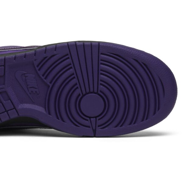 Nike SB Dunk Low Concepts Purple Lobster BV1310-555 - Arviolet photo 5