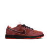 Nike SB Dunk Low Concepts Red Lobster (Special Box) 313170-661 - Arviolet photo 1