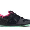 Nike SB Dunk Low Premier Northern Lights 724183-063 - Arviolet photo 1
