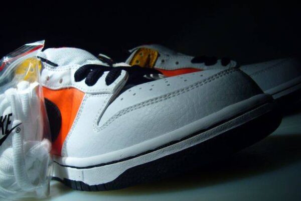 Nike SB Dunk Low Raygun Home 304292-802 - Arviolet photo 5