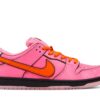 Nike SB Dunk Low The Powerpuff Girls Blossom FD2631-600 - Arviolet photo 1