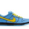 Nike SB Dunk Low The Powerpuff Girls Bubbles FZ8320-400 - Arviolet photo 1